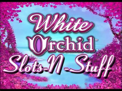 White Orchid Slot Play High Limit $960 a spin .